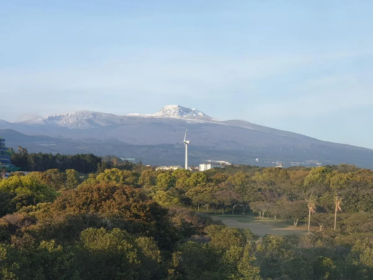 Bloom Hotel Jeju